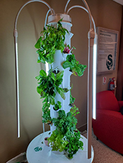 Plant Tower