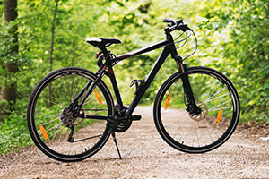 Bike in woods