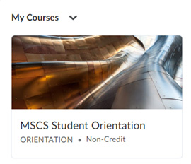 My Courses Icon for Orientation